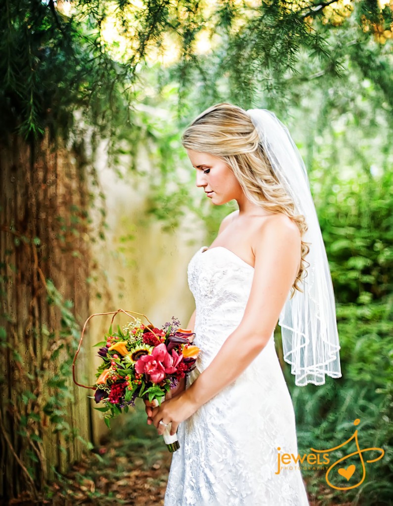 Jewels Photography Site – Blog